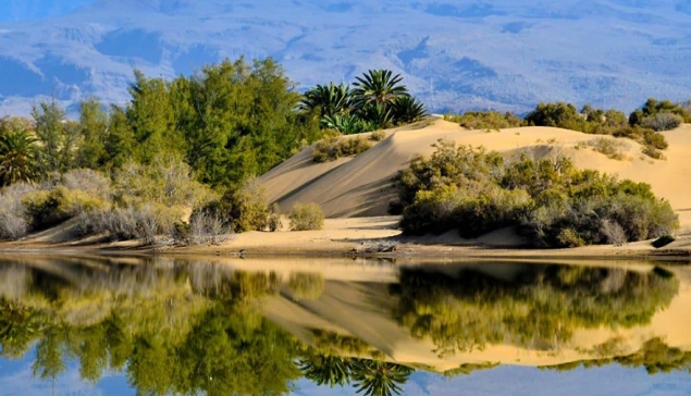 Natuurreservaat El Oasis